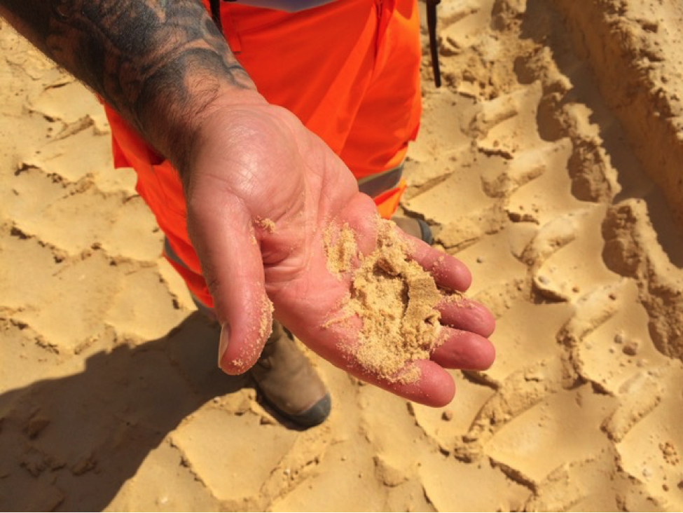 Image courtesy Amanda Loomes